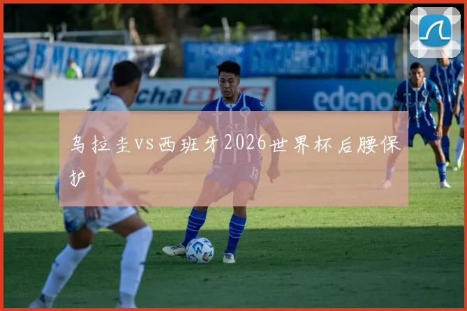 乌拉圭vs西班牙2026世界杯后腰保护