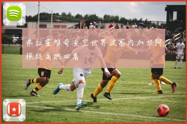 弗拉霍维奇凌空世界波塞内加尔阿根廷高燃回看