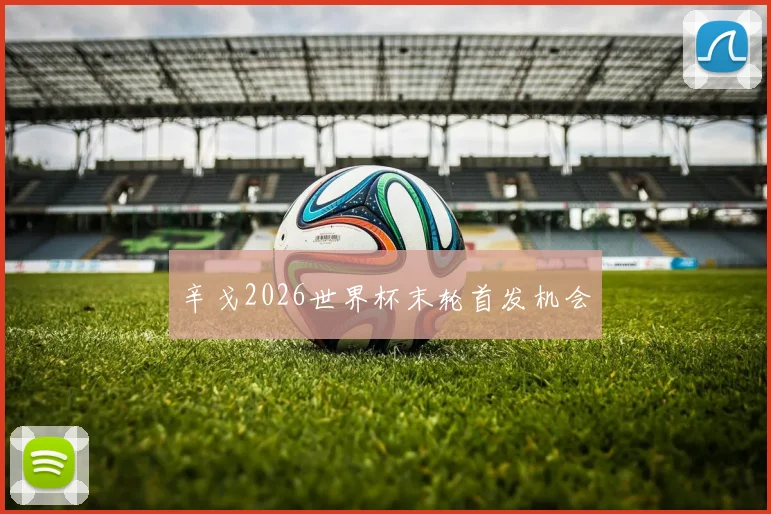 辛戈2026世界杯末轮首发机会