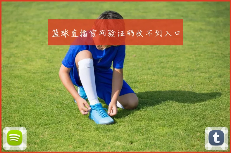篮球直播官网验证码收不到入口