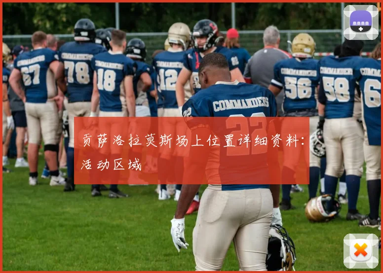 贡萨洛拉莫斯场上位置详细资料：活动区域