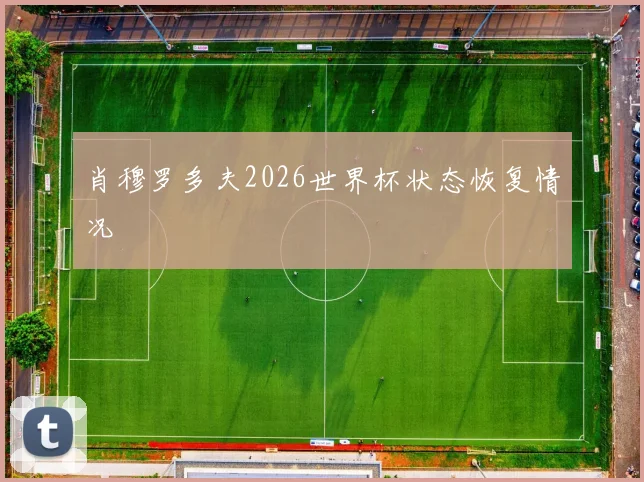 肖穆罗多夫2026世界杯状态恢复情况
