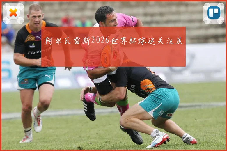 阿尔瓦雷斯2026世界杯球迷关注度