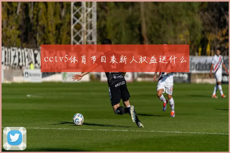 cctv5体育节目表新人权益送什么